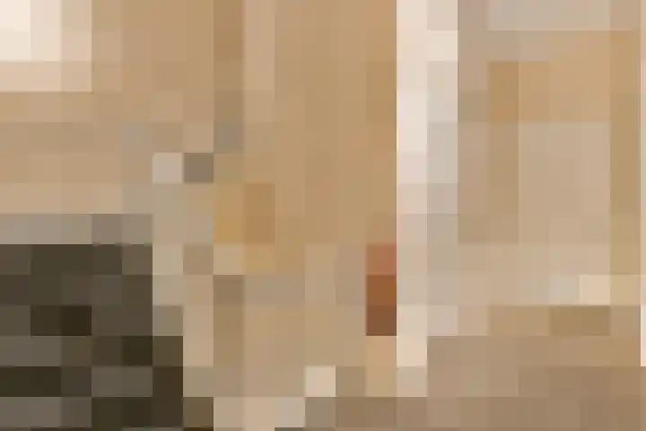 Raamweg 12 D Den Haag thumbnail 5