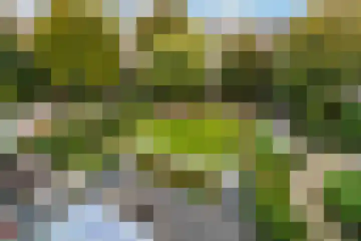 Raamweg 12 H Den Haag thumbnail 31