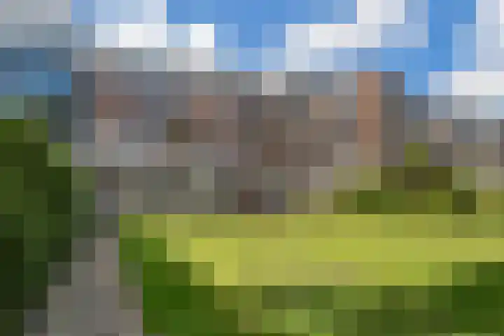 Raamweg 12 H Den Haag thumbnail 4