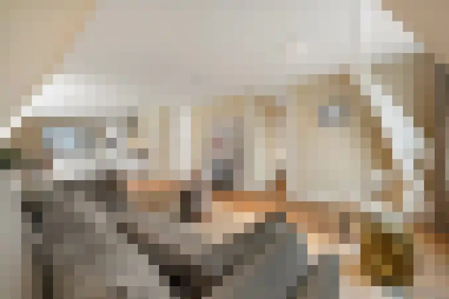 Raamweg 13 G Den Haag thumbnail 12