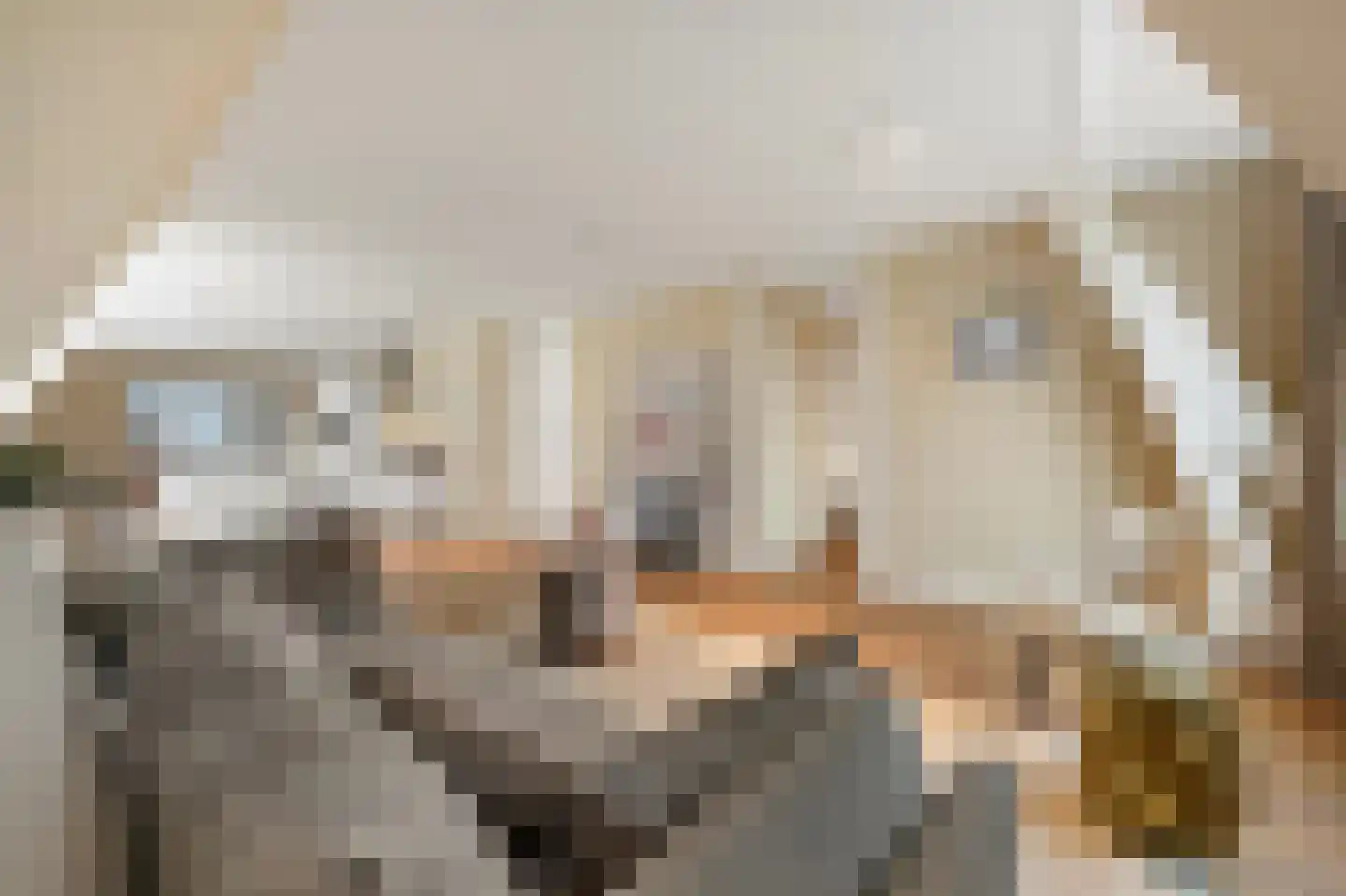 Raamweg 13 G Den Haag thumbnail 13