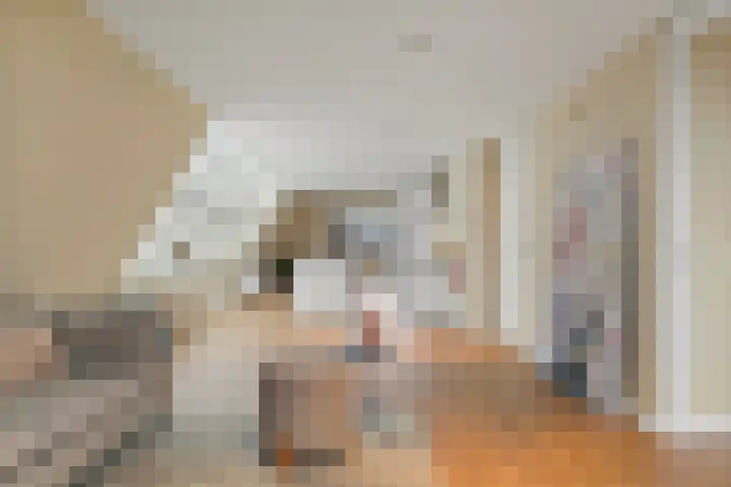 Raamweg 13 G Den Haag thumbnail 13