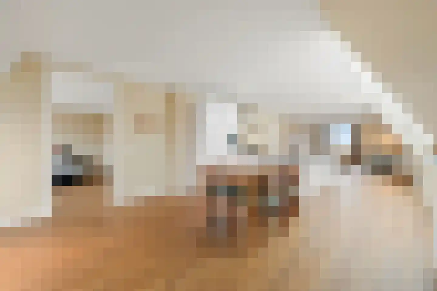 Raamweg 13 G Den Haag thumbnail 17