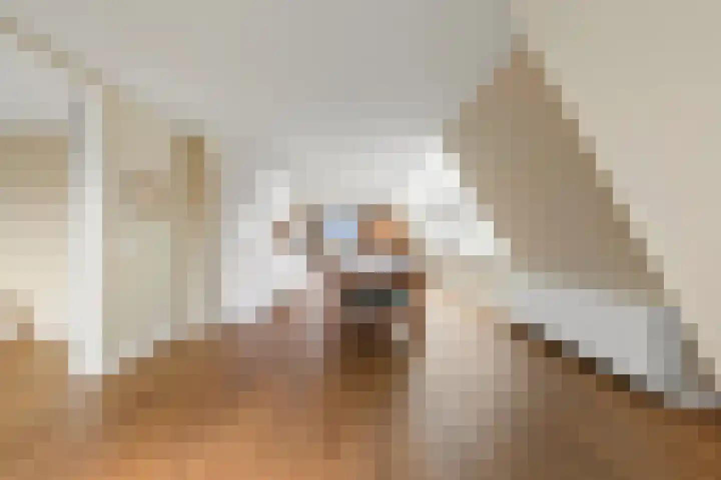Raamweg 13 G Den Haag thumbnail 21