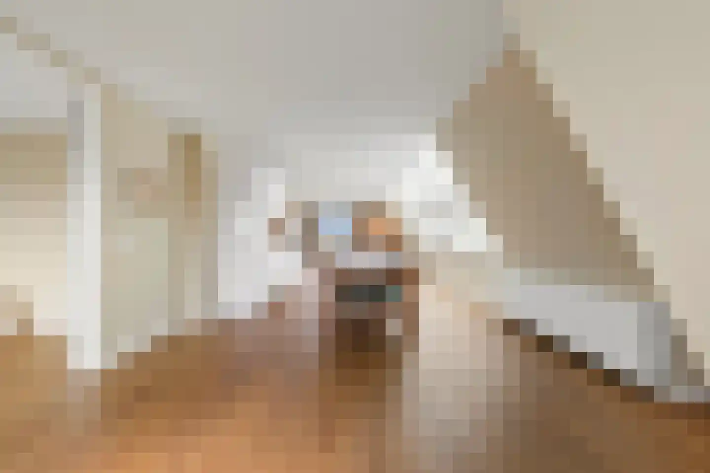 Raamweg 13 G Den Haag thumbnail 22