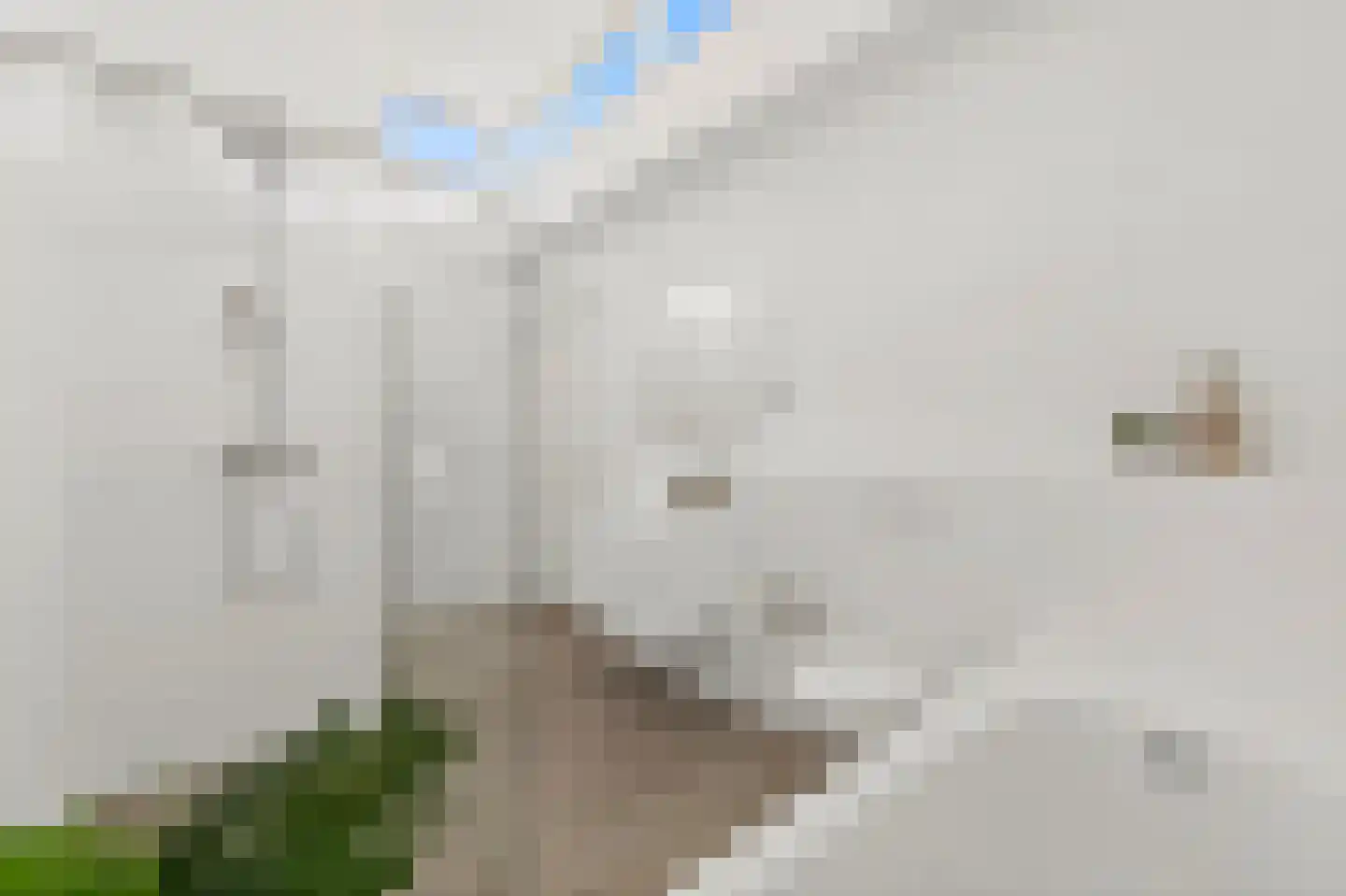 Raamweg 13 G Den Haag thumbnail 4