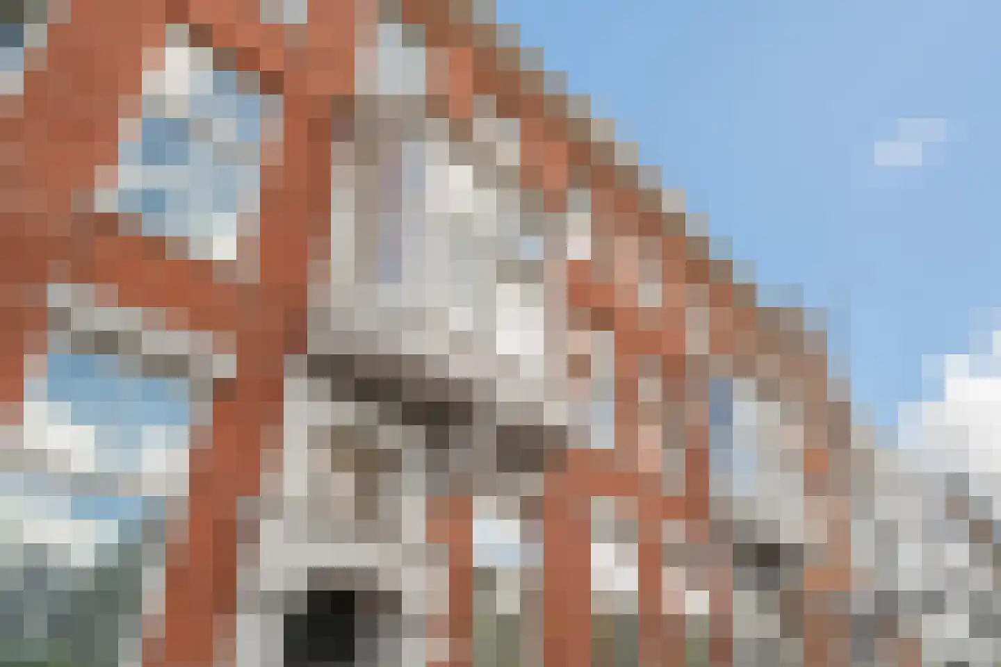 Raamweg 13 G Den Haag thumbnail 45
