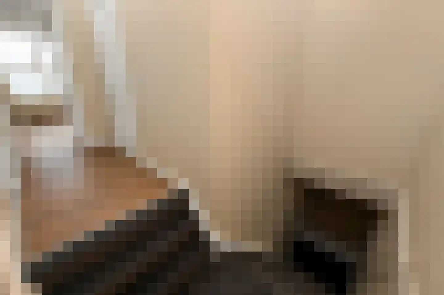 Raamweg 13 G Den Haag thumbnail 7