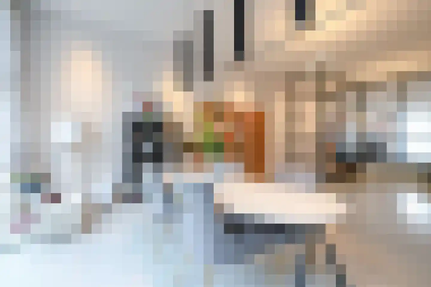 Raamweg 14 Den Haag thumbnail 11
