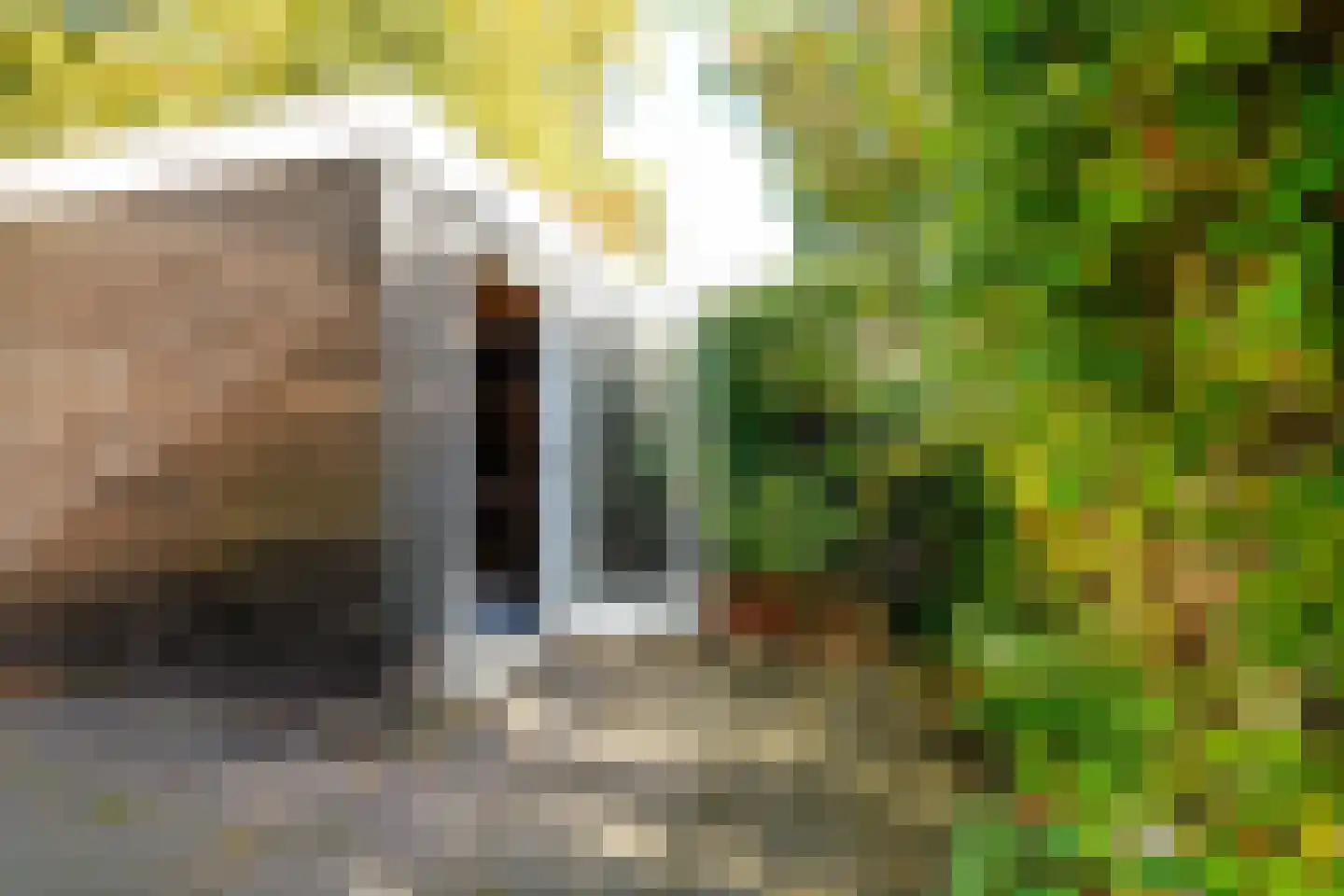 Raamweg 14 Den Haag thumbnail 19