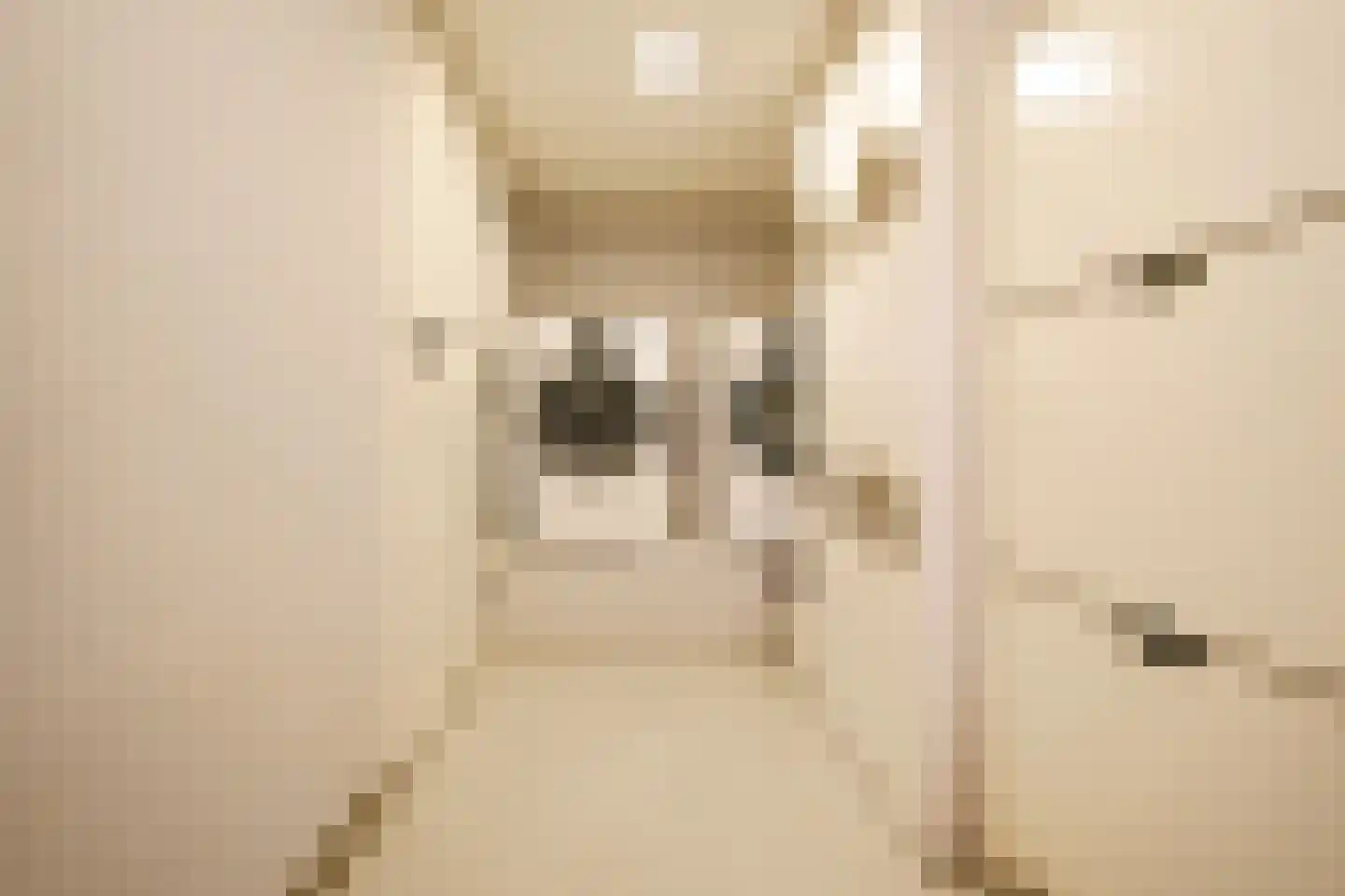 Raamweg 14 Den Haag thumbnail 37