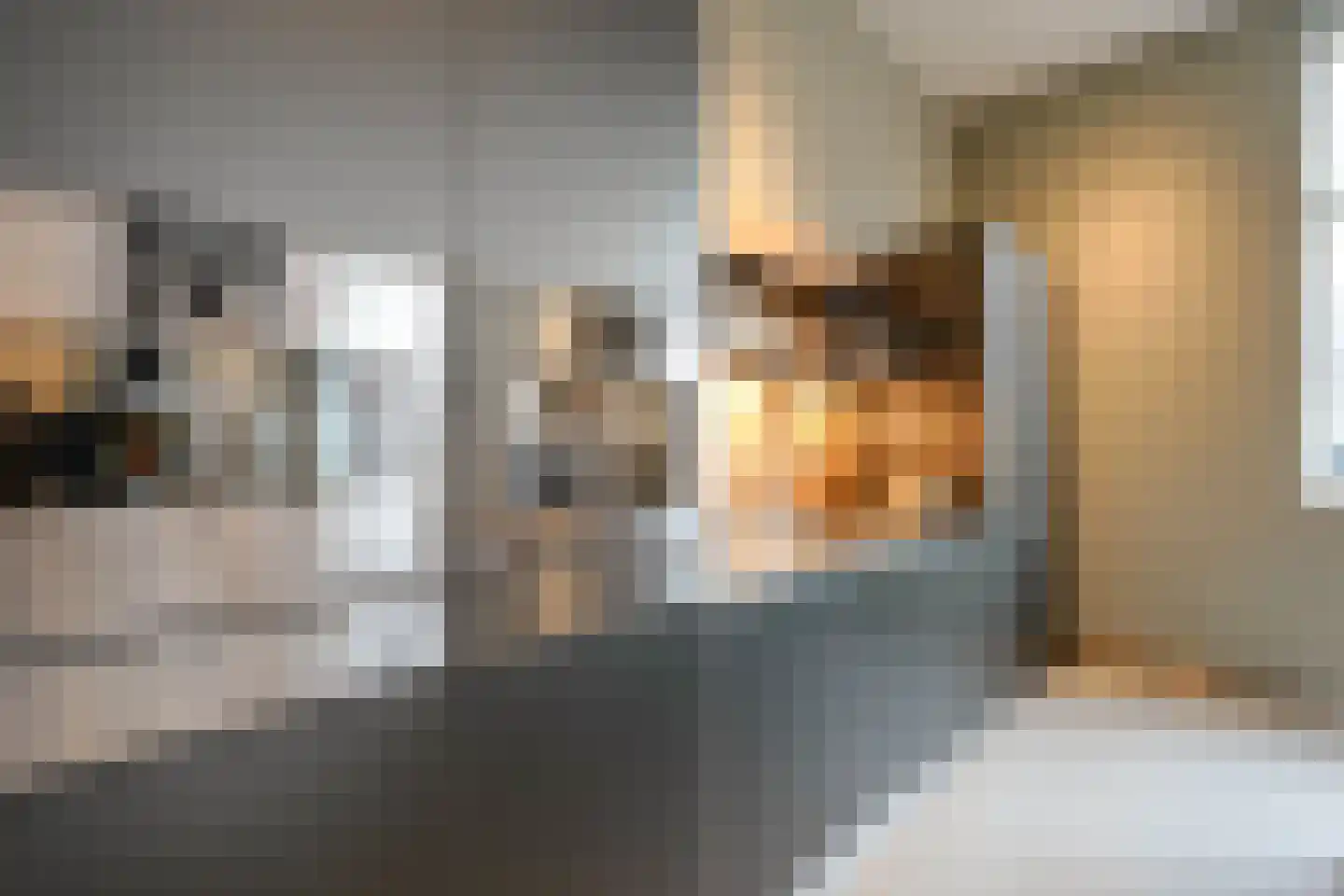 Raamweg 14 Den Haag thumbnail 5