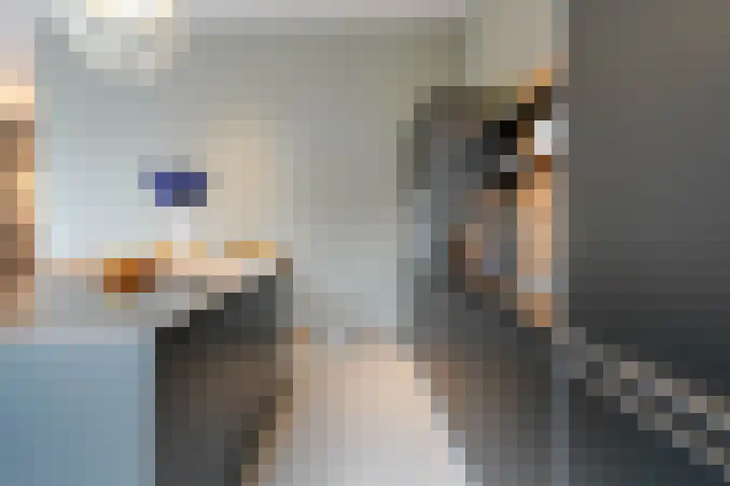 Raamweg 14 Den Haag thumbnail 6