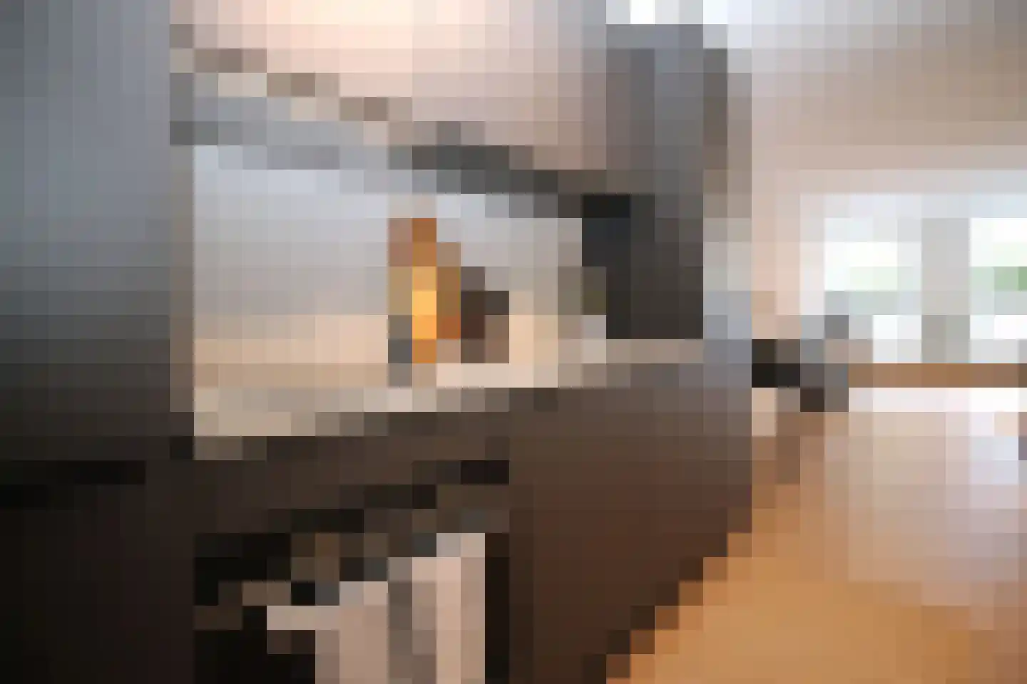 Raamweg 15 A Den Haag thumbnail 11