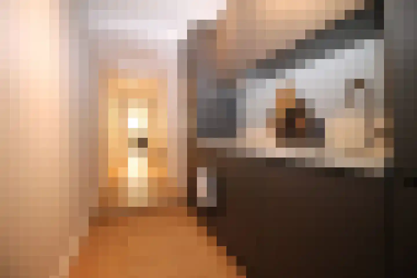 Raamweg 15 A Den Haag thumbnail 12
