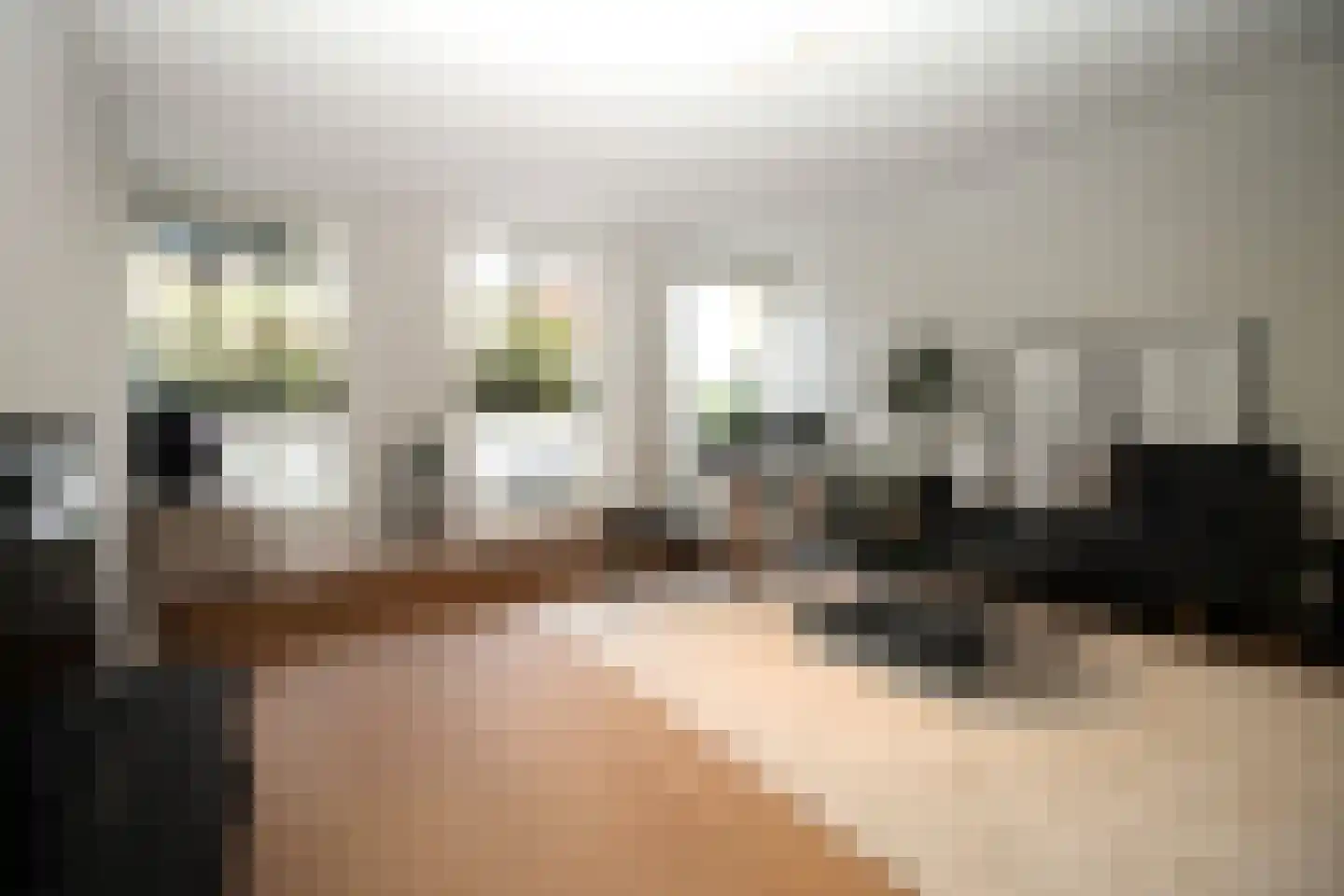 Raamweg 15 A Den Haag thumbnail 16