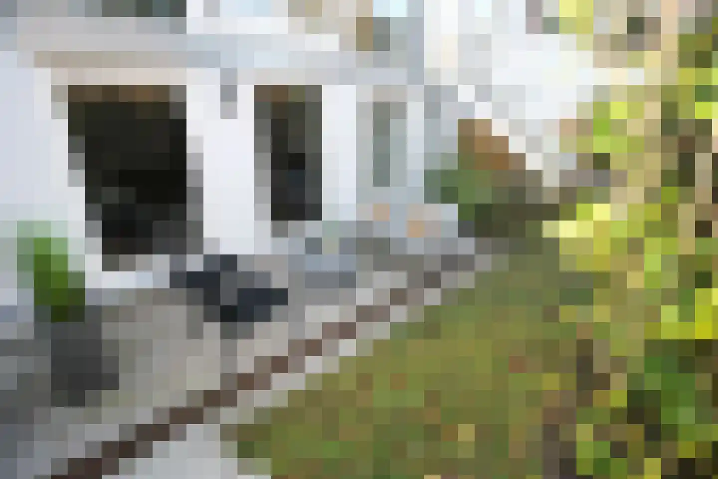 Raamweg 15 A Den Haag thumbnail 23