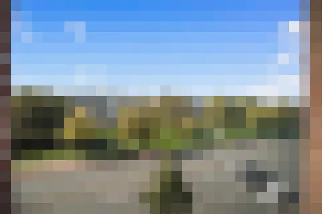 Raamweg 15 A Den Haag thumbnail 43