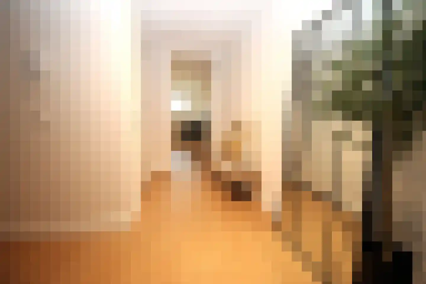 Raamweg 15 A Den Haag thumbnail 7