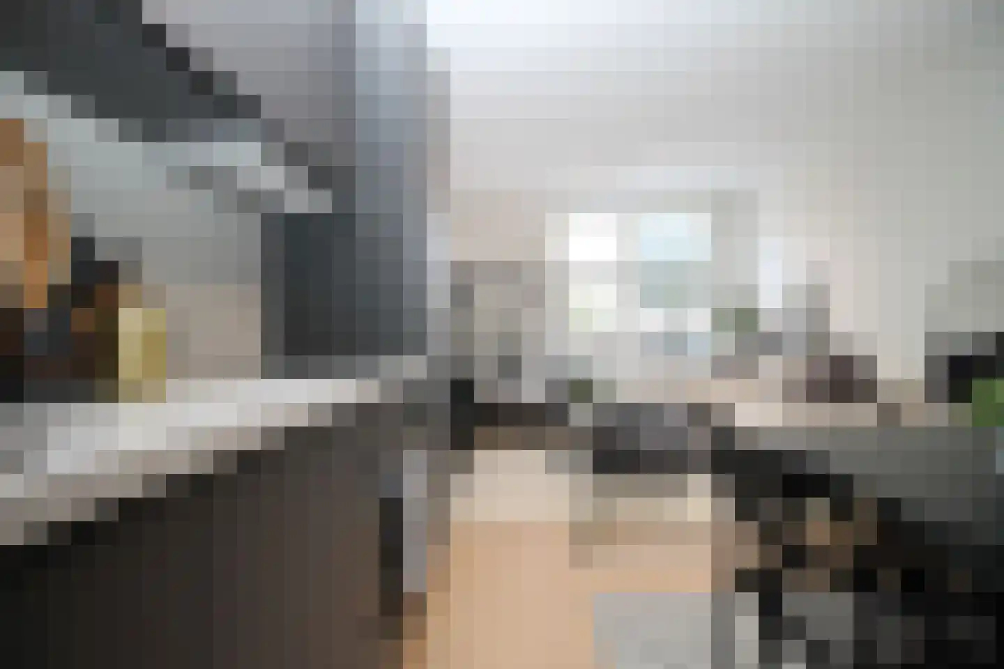 Raamweg 15 E Den Haag thumbnail 11