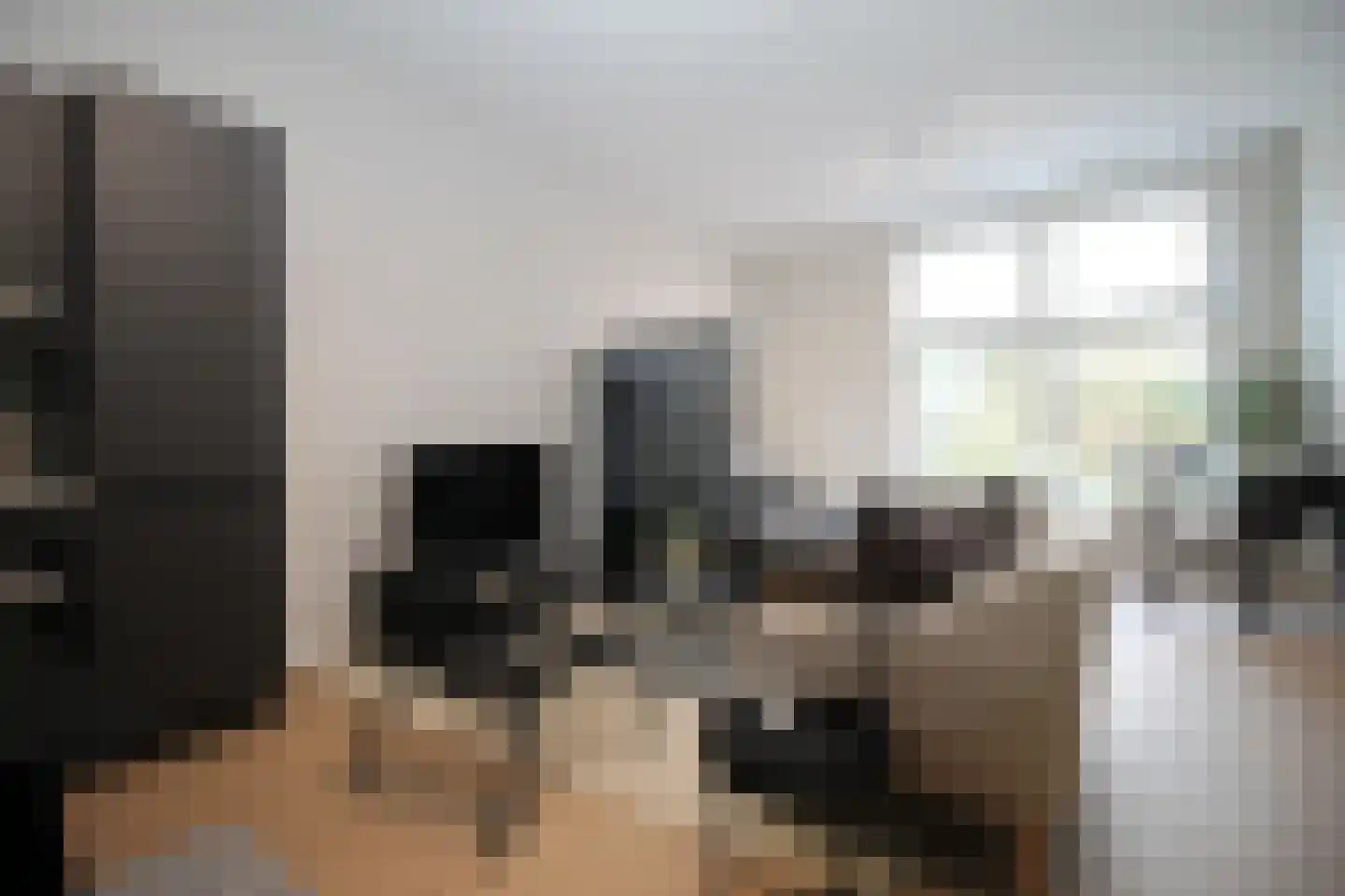 Raamweg 15 E Den Haag thumbnail 12
