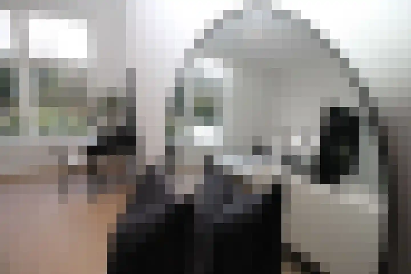 Raamweg 15 E Den Haag thumbnail 13