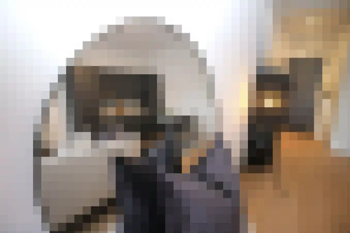 Raamweg 15 E Den Haag thumbnail 14