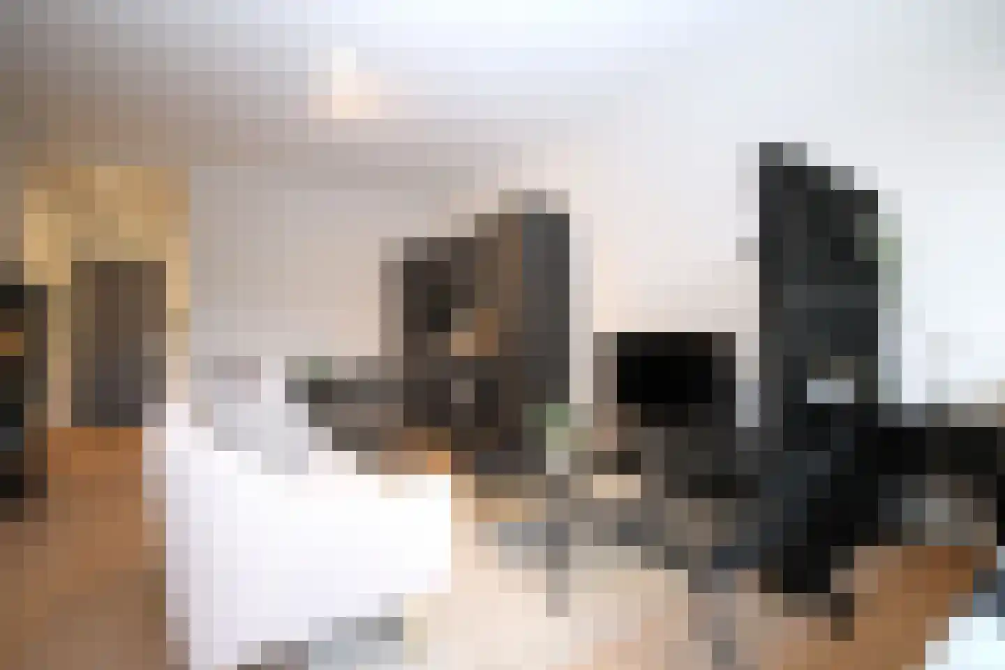 Raamweg 15 E Den Haag thumbnail 15