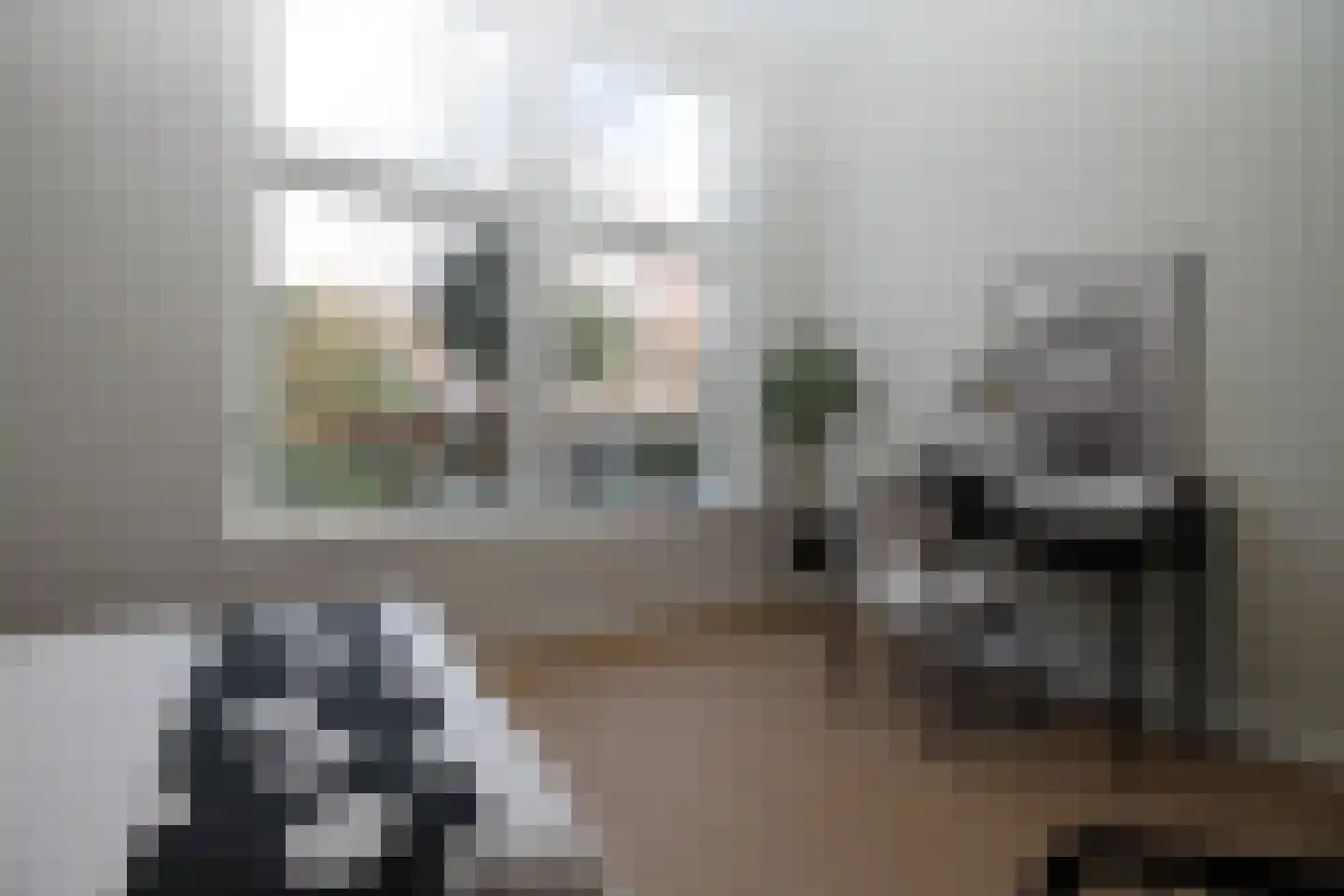 Raamweg 15 E Den Haag thumbnail 16