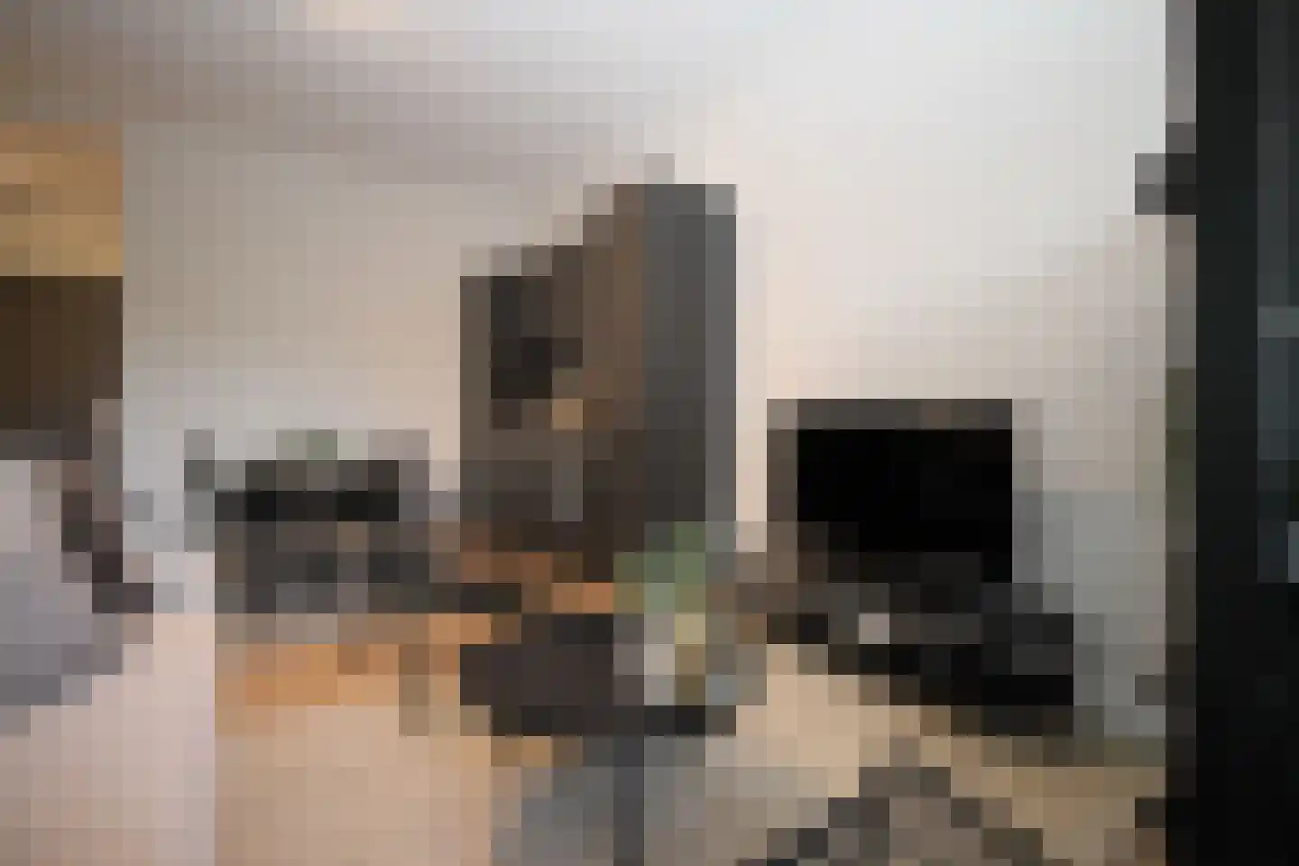 Raamweg 15 E Den Haag thumbnail 17