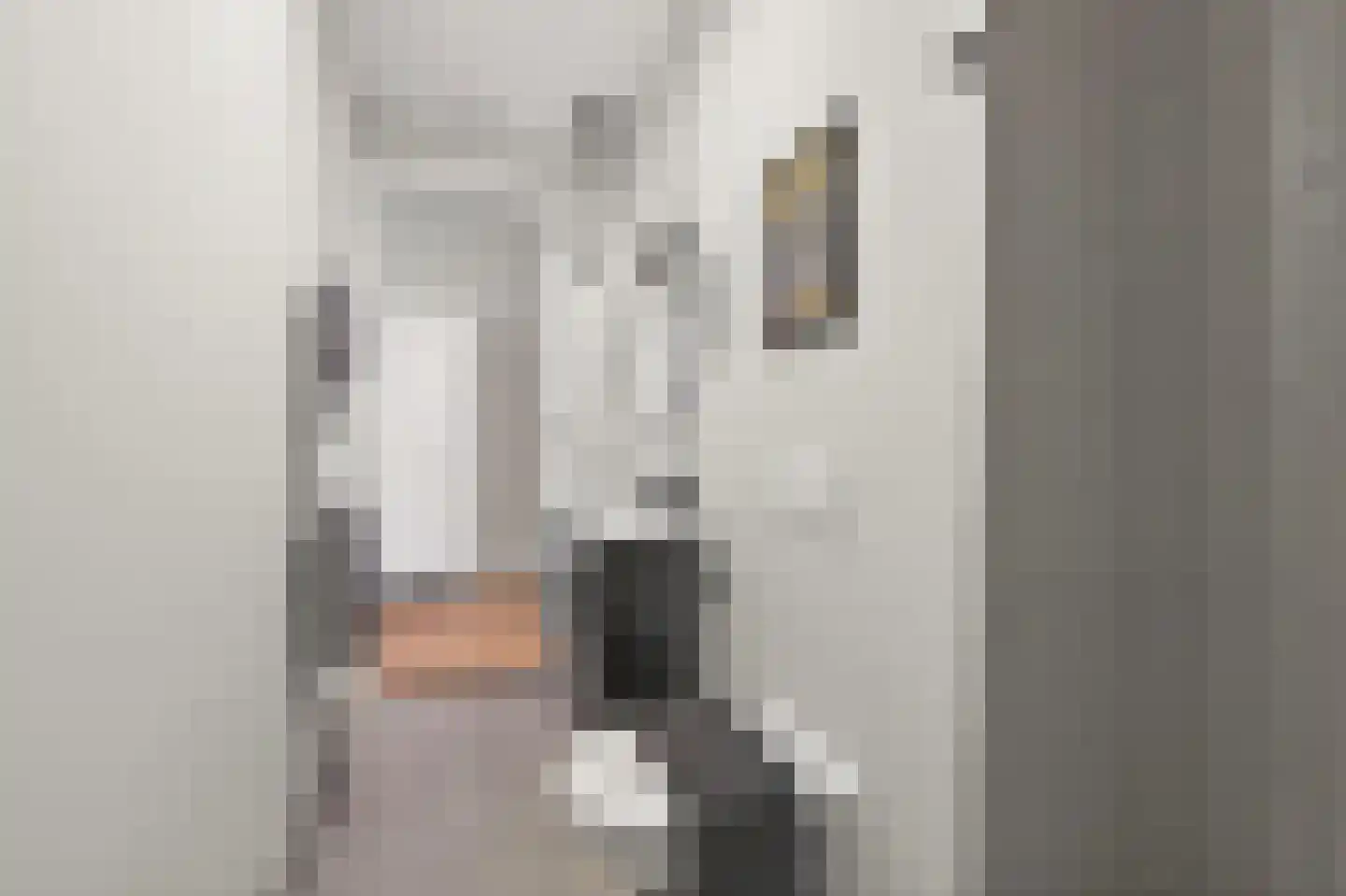 Raamweg 15 E Den Haag thumbnail 21