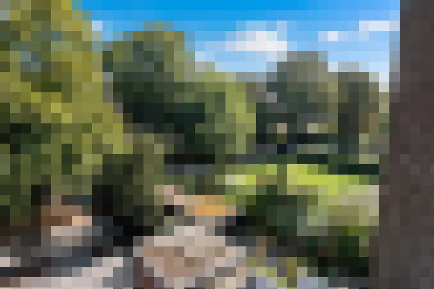 Raamweg 15 E Den Haag thumbnail 33