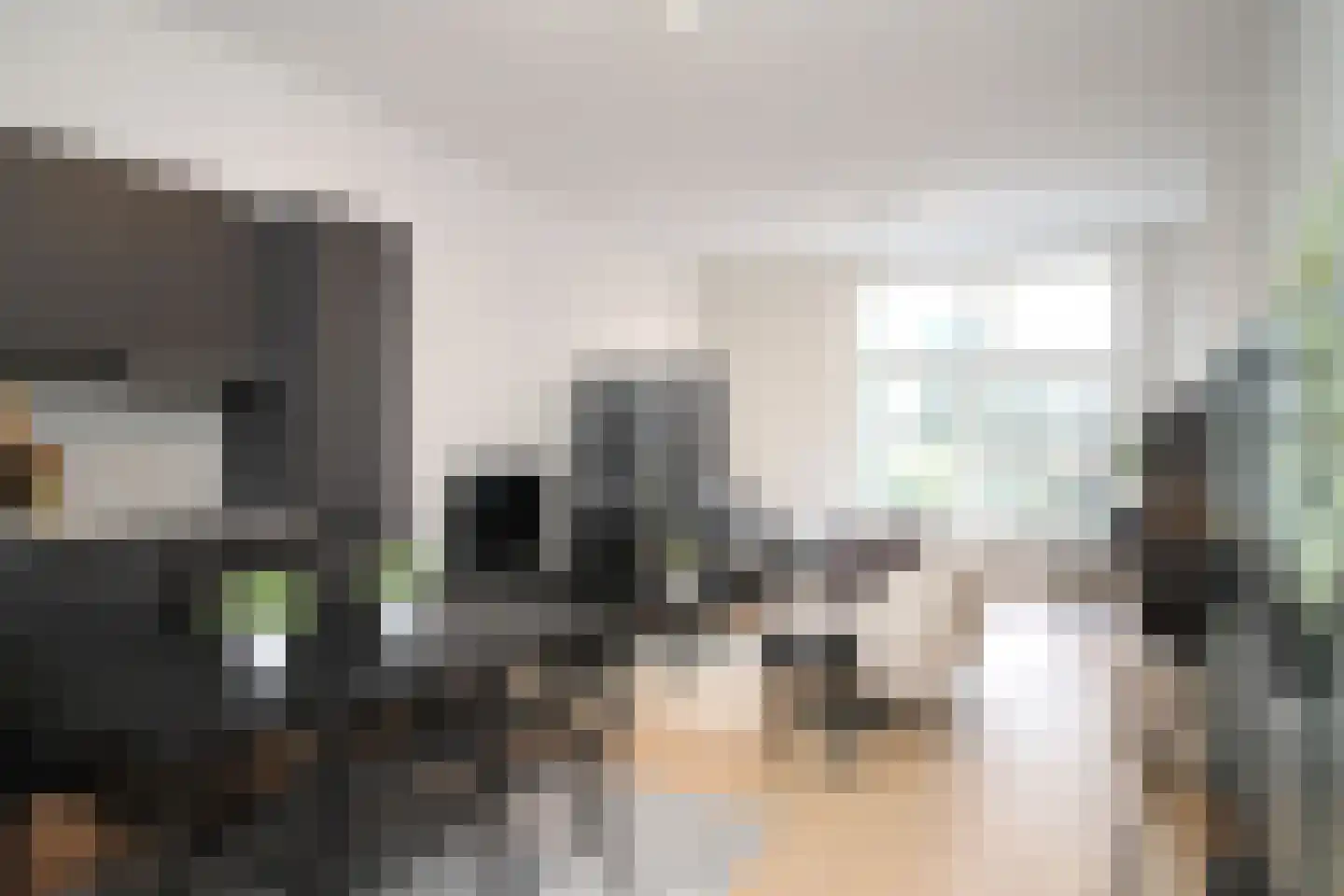 Raamweg 15 E Den Haag thumbnail 7