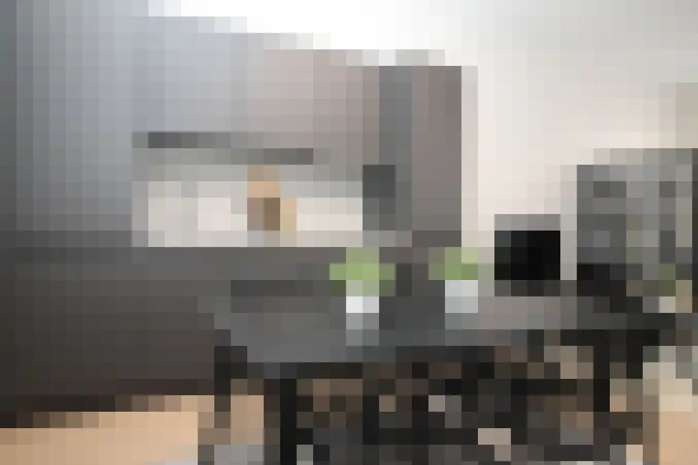 Raamweg 15 E Den Haag thumbnail 9