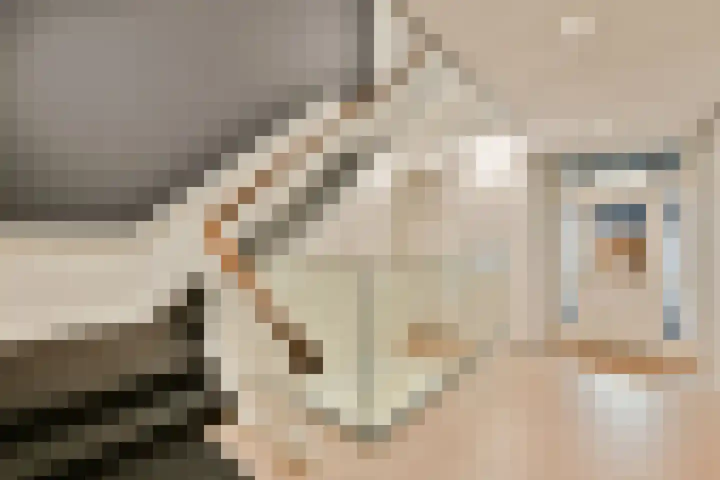 Raamweg 16 M Den Haag thumbnail 13