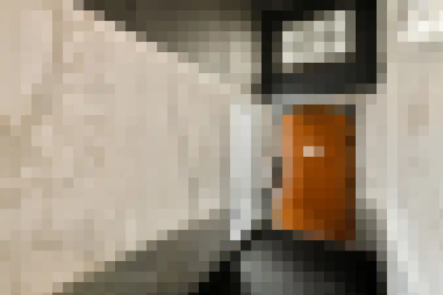 Raamweg 16 M Den Haag thumbnail 6