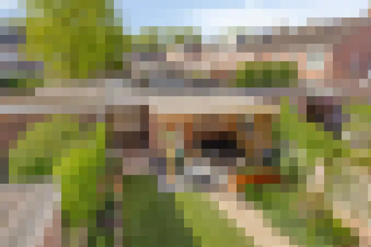 Raamweg 17 Vught thumbnail 25