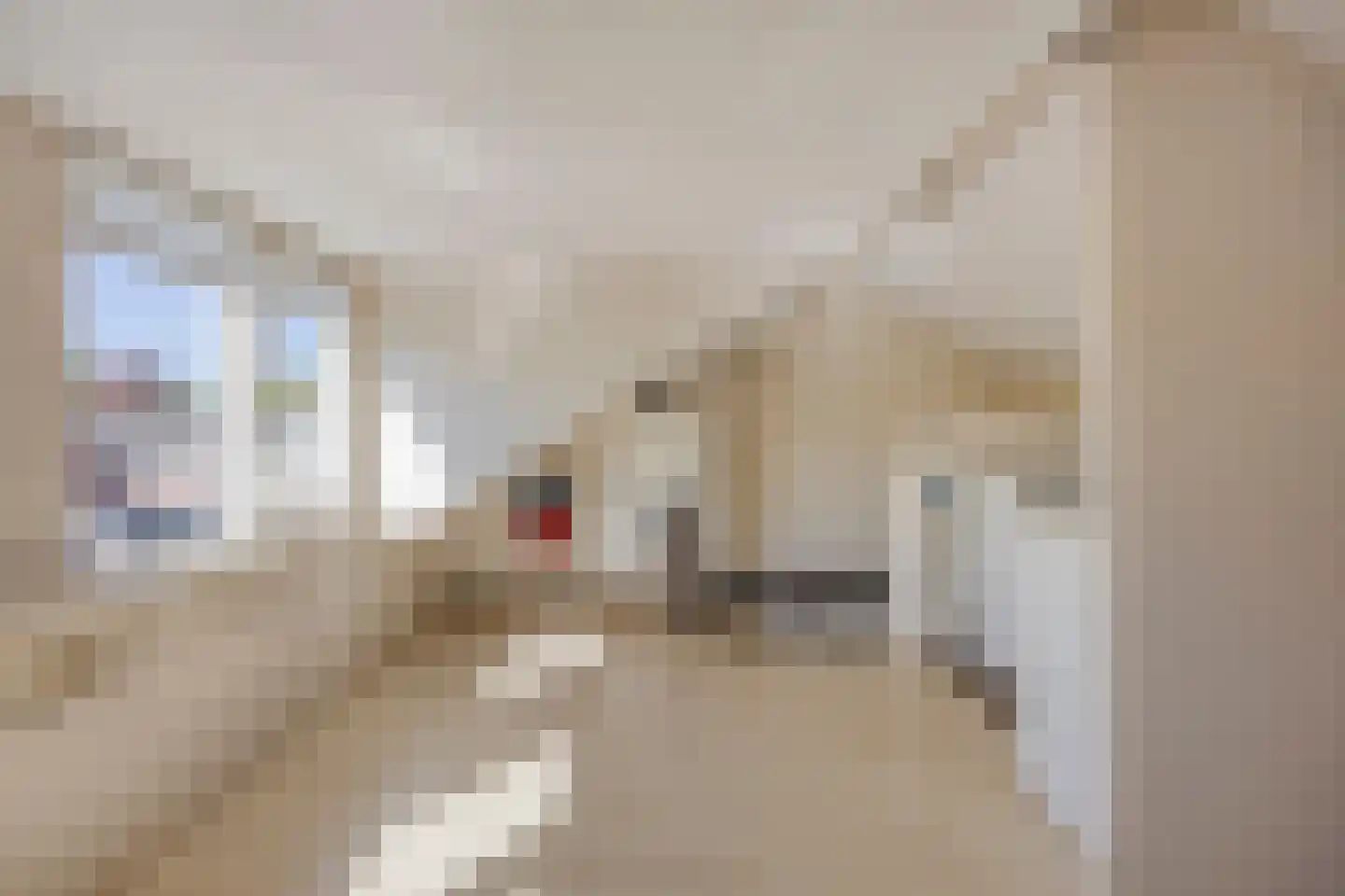 Raamweg 17 Vught thumbnail 28