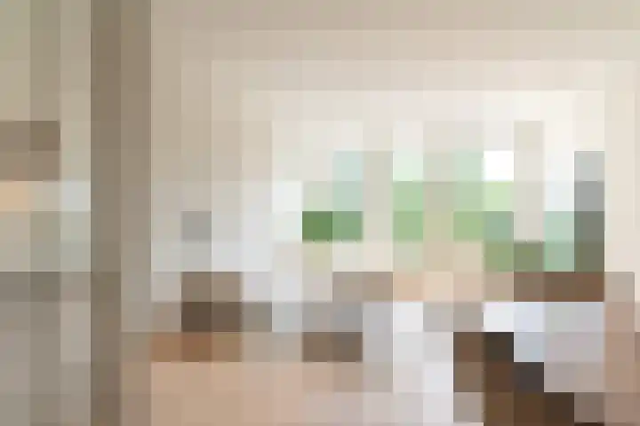Raamweg 2 B Den Haag thumbnail 5