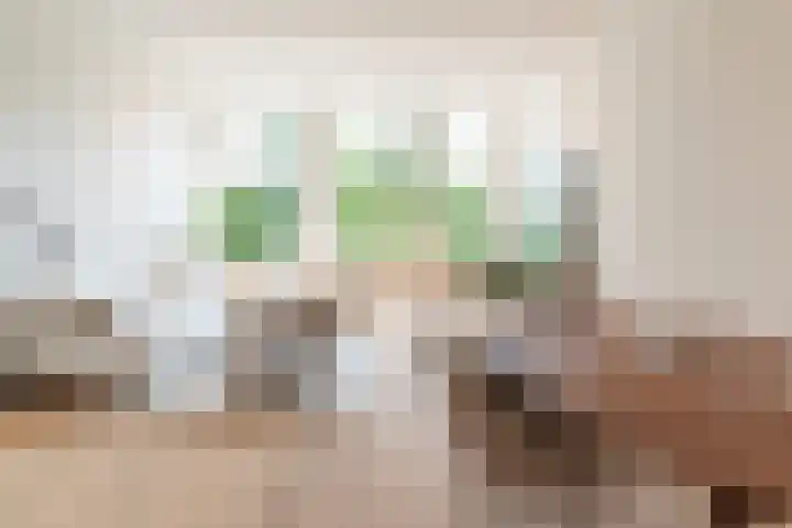 Raamweg 2 B Den Haag thumbnail 6