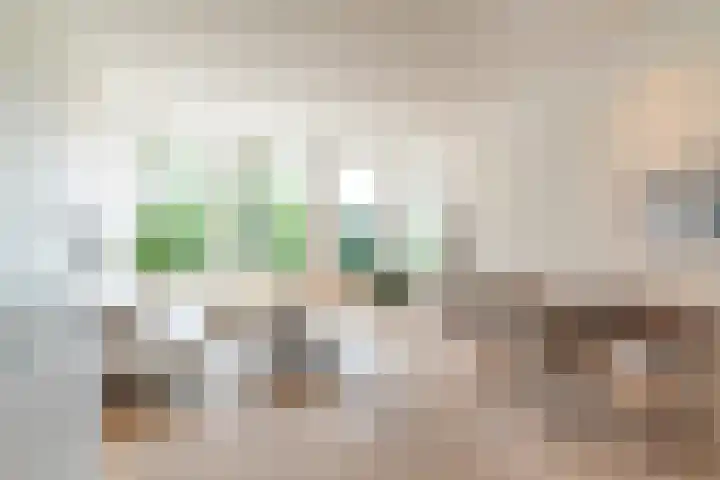 Raamweg 2 B Den Haag thumbnail 9