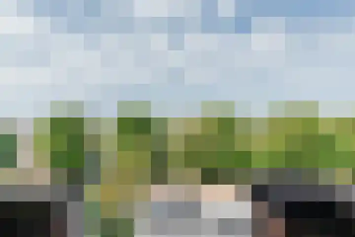 Raamweg 2 C Den Haag thumbnail 4