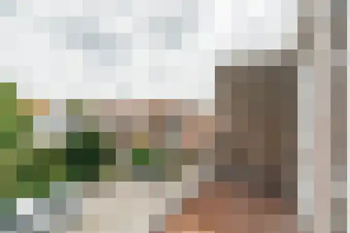 Raamweg 2 D Den Haag thumbnail 7