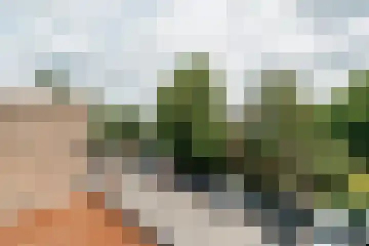 Raamweg 2 D Den Haag thumbnail 8