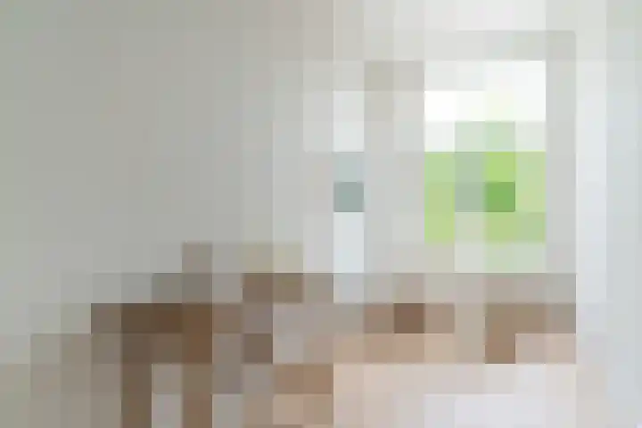 Raamweg 2 E Den Haag thumbnail 12