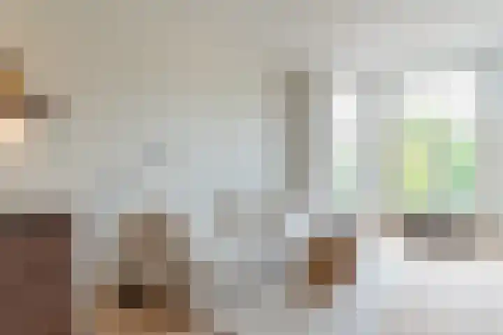 Raamweg 2 E Den Haag thumbnail 8