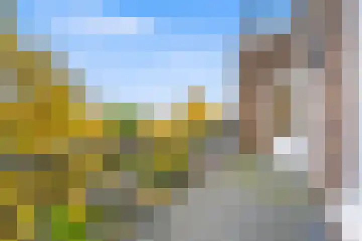Raamweg 20 D Den Haag thumbnail 11