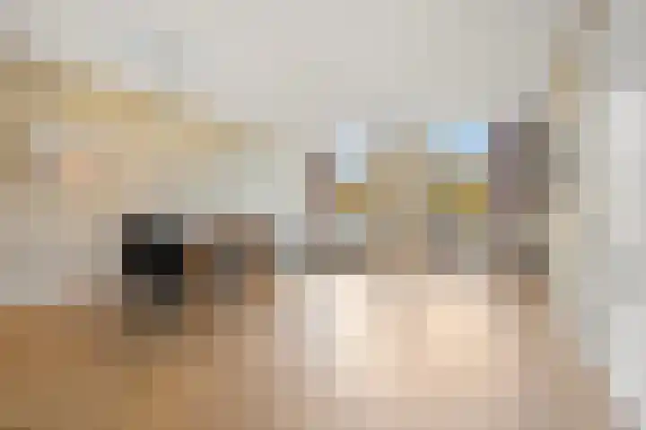 Raamweg 20 D Den Haag thumbnail 8
