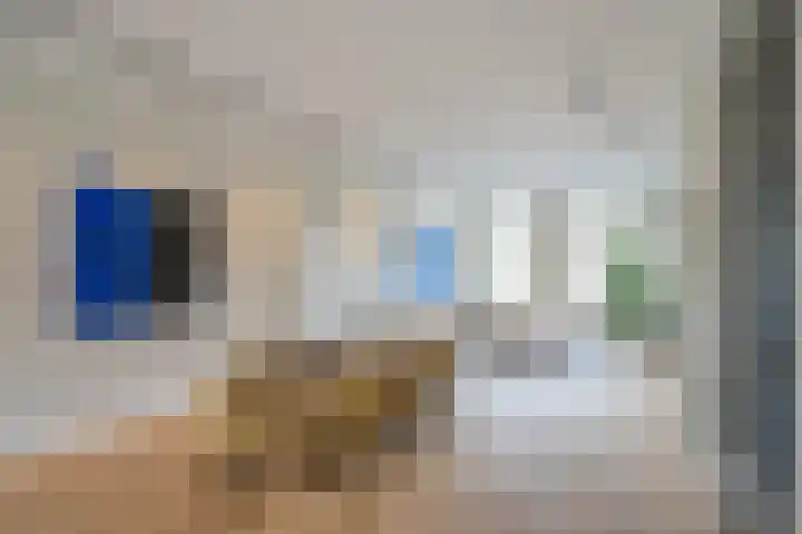 Raamweg 21 Den Haag thumbnail 13