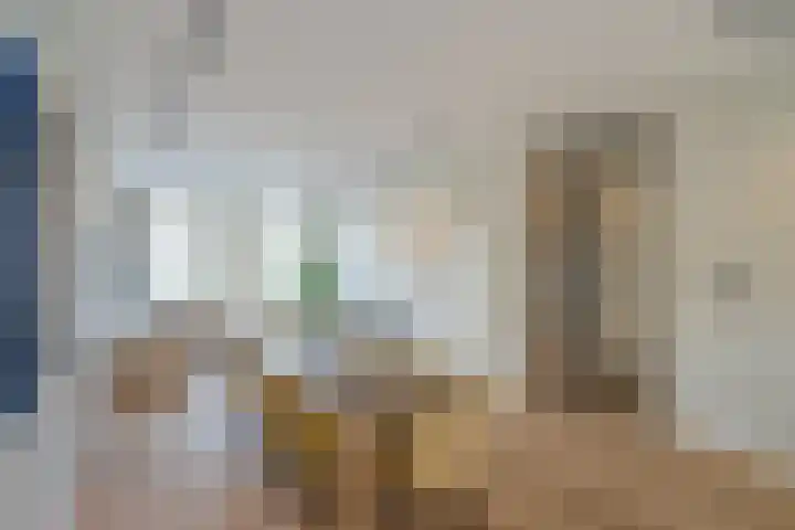 Raamweg 21 Den Haag thumbnail 14